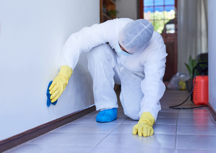 biohazard cleanup