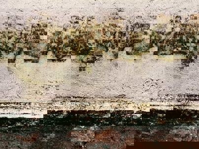 Damage restoration services in California by certified technicians