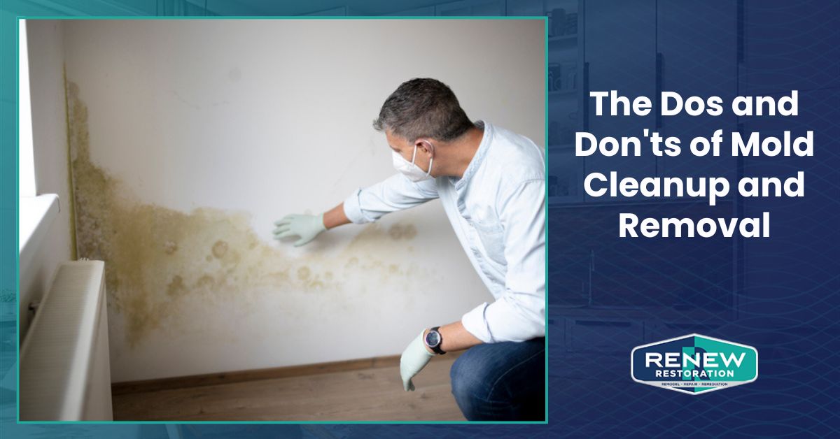 The Dos and Don'ts of Mold Cleanup and Removal